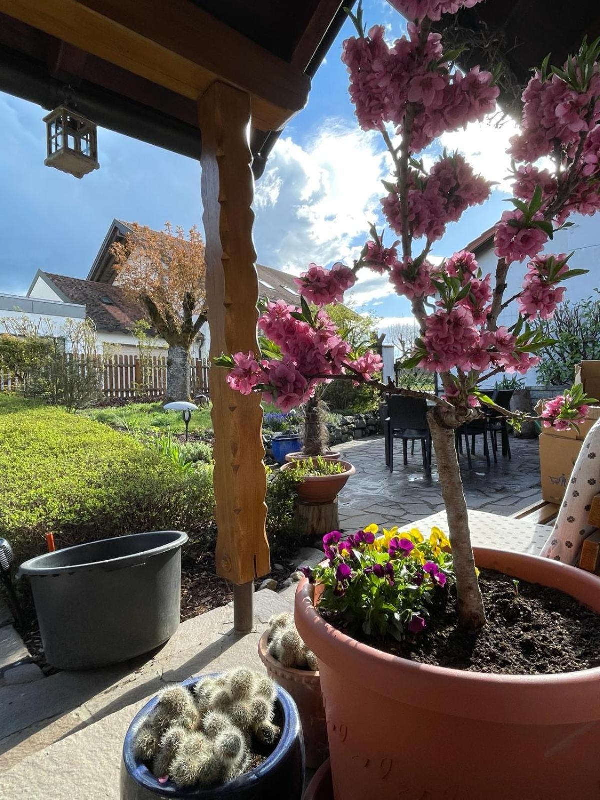 Zumglueckfrei Apartment Passau Bagian luar foto